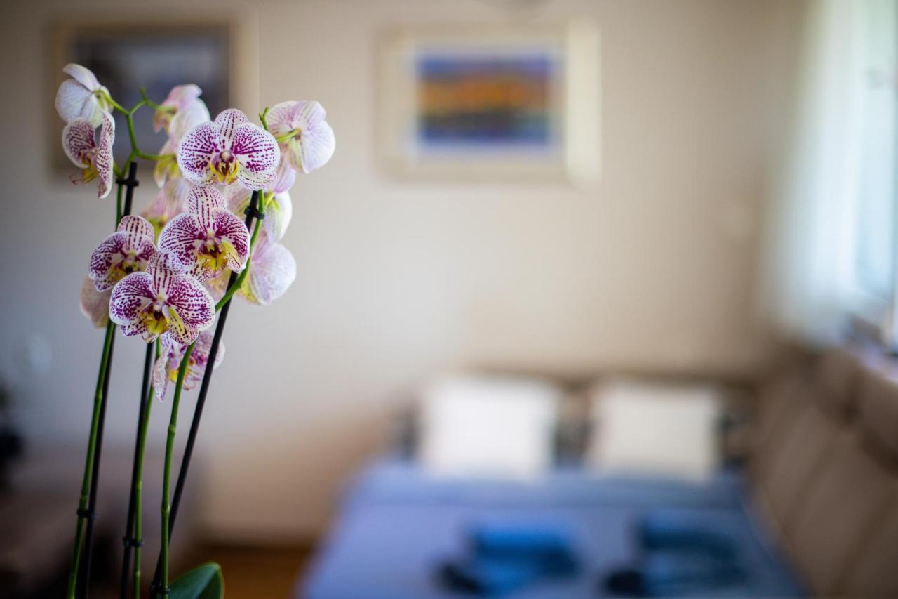Apartmán Mia Leona Split Exteriér fotografie
